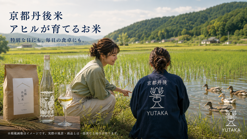 海の京都物語 第24話 🦆 実はYUTAKA、お米も売ってるんどす