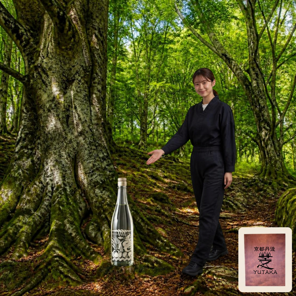 第78話　北近畿最大級・内山ブナ林の巨木にふれる、大宮町の森歩きどす｜日本酒YUTAKA(豊)